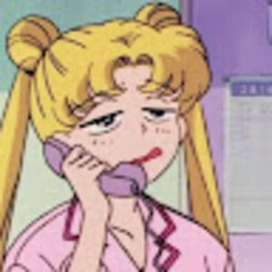 Meet your Posher, Pompom